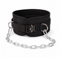 Dip Belt with Clip